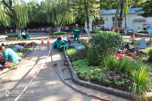 以賽促練強技能 匠心鑄就城市美——資陽市園林綠化管理處成功舉辦第十四屆“十萬職工大練兵、大比賽、技藝大比武”活動
