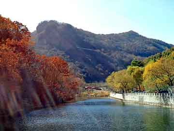 獨(dú)家揭秘，專(zhuān)屬暗號(hào)表，構(gòu)建私密溝通的秘密通道！
