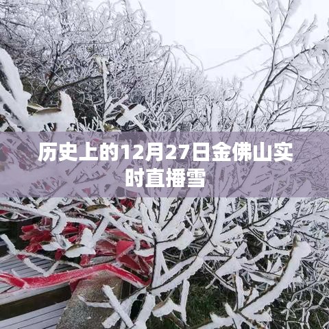 金佛山雪景直播回顧，歷史上的雪韻風(fēng)華