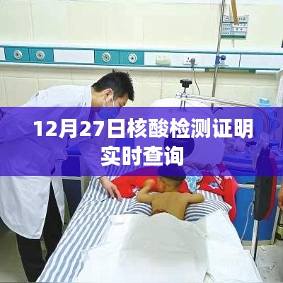12月27日核酸檢測結果實時查詢系統(tǒng)