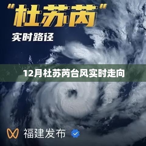 杜蘇芮臺風(fēng)最新實(shí)時(shí)動態(tài)及走向分析