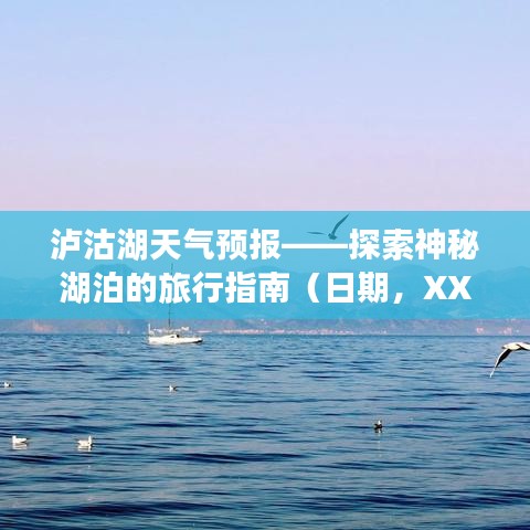 產(chǎn)品中心 第118頁