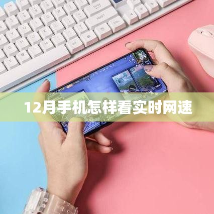 12月手機(jī)網(wǎng)速監(jiān)控，實(shí)時(shí)查看網(wǎng)速攻略