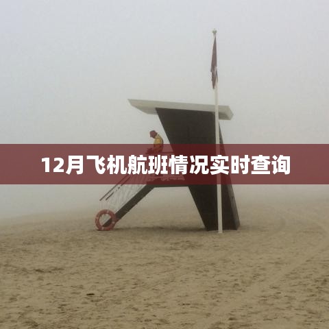 12月飛機(jī)航班實(shí)時(shí)查詢(xún)情況更新