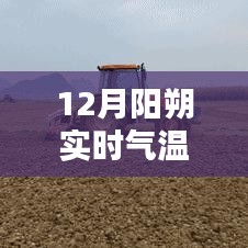 陽(yáng)朔實(shí)時(shí)氣溫報(bào)告，探尋溫暖時(shí)光