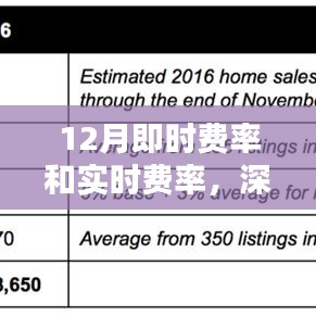 深度解析與應用的實時費率和即時費率解析（十二月版）