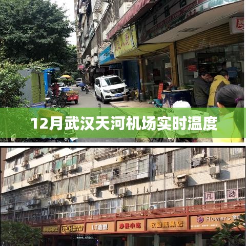 武漢天河機場十二月實時氣溫
