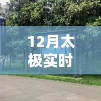 太極實(shí)時(shí)單，12月實(shí)戰(zhàn)體驗(yàn)分享