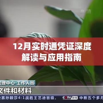 12月實(shí)時(shí)通憑證解讀與應(yīng)用指南，深度解析