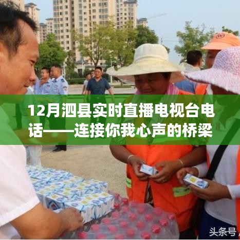 泗縣直播電視臺電話，連接您我心聲的通信橋梁