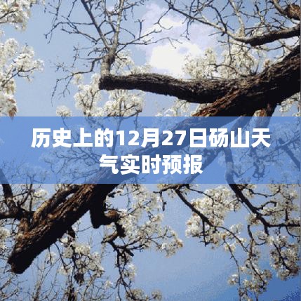 碭山歷史天氣回顧，12月27日實(shí)時(shí)天氣預(yù)報(bào)