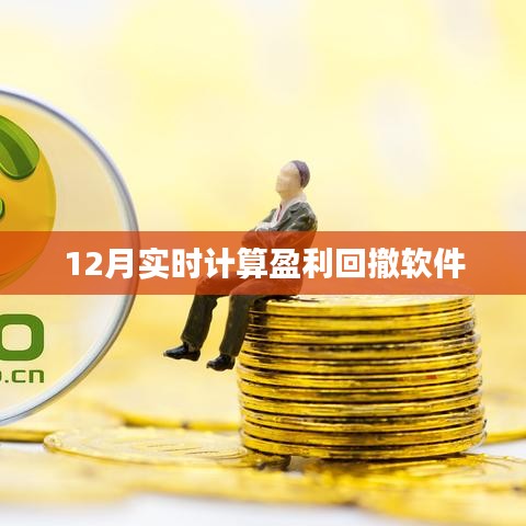 實(shí)時(shí)計(jì)算盈利回撤軟件最新動(dòng)態(tài)，12月表現(xiàn)如何？