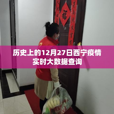 西寧疫情實時大數(shù)據(jù)查詢，歷史數(shù)據(jù)回顧與最新動態(tài)