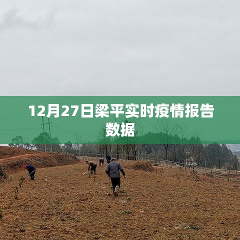 梁平實(shí)時疫情報告數(shù)據(jù)更新（12月27日）