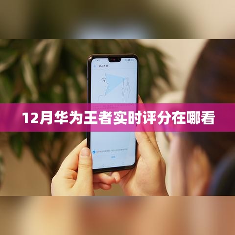 華為王者實(shí)時評分查詢攻略