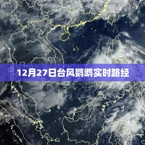 臺風(fēng)鸚鵡最新路徑動態(tài)（實(shí)時更新）