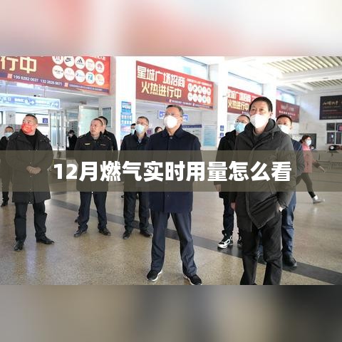 12月燃?xì)庥昧繉?shí)時(shí)查看攻略