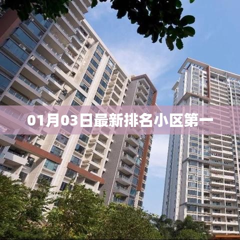 最新排名出爐，小區(qū)榮登首位（日期，01月03日）