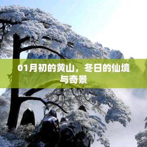 黃山冬景奇觀，仙境般的初冬畫卷