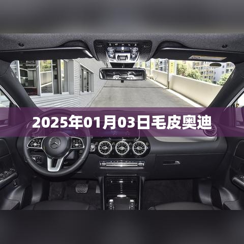 毛皮奧迪，未來時尚之選