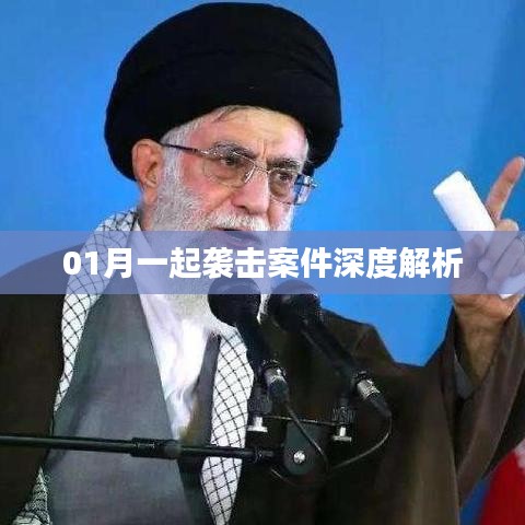 深度解析一月份襲擊案件內(nèi)幕