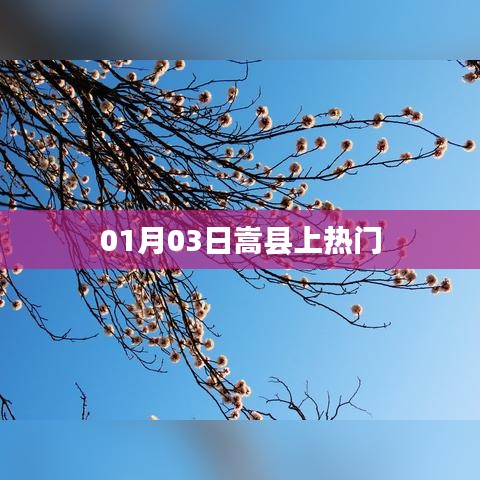 嵩縣上熱搜，最新消息揭秘！