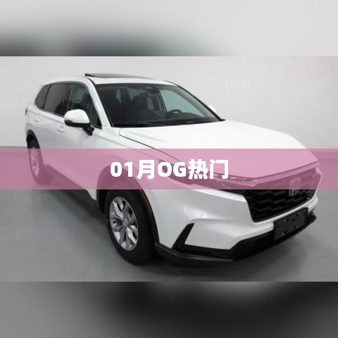 01月OG熱門趨勢解析