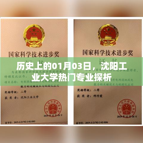 沈陽工業(yè)大學(xué)熱門專業(yè)歷史探析，聚焦一月三日