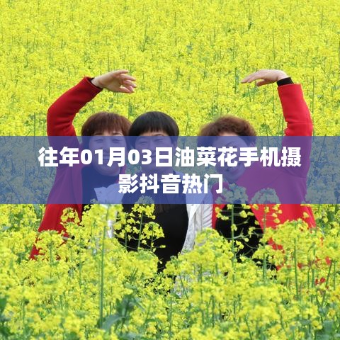 油菜花手機(jī)攝影抖音熱門作品欣賞