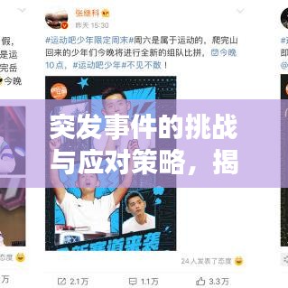 突發(fā)事件的挑戰(zhàn)與應(yīng)對策略，揭秘未知領(lǐng)域，探索應(yīng)對之道