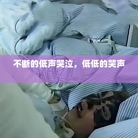 不斷的低聲哭泣，低低的哭聲