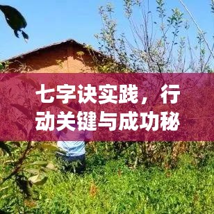七字訣實踐，行動關(guān)鍵與成功秘訣