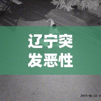 遼寧突發(fā)惡性刑案，遼寧行兇