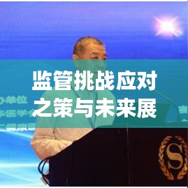 監(jiān)管挑戰(zhàn)應對之策與未來展望