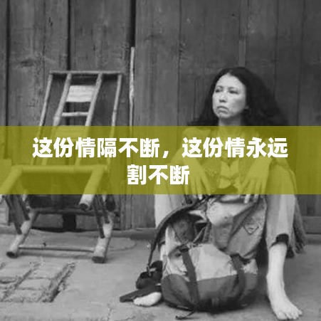 這份情隔不斷，這份情永遠割不斷