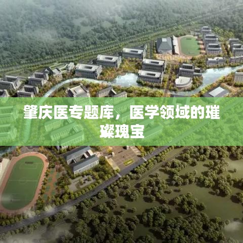 肇慶醫(yī)專題庫，醫(yī)學(xué)領(lǐng)域的璀璨瑰寶