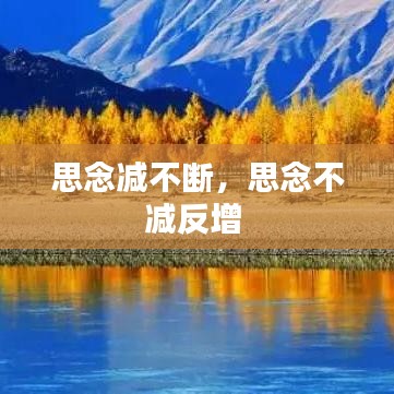 思念減不斷，思念不減反增