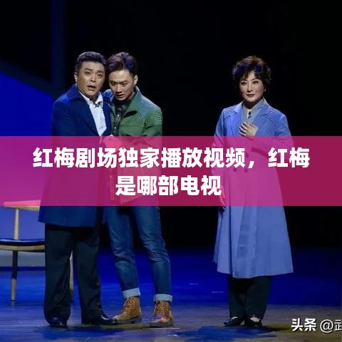 紅梅劇場獨(dú)家播放視頻，紅梅是哪部電視