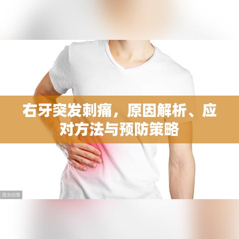 右牙突發(fā)刺痛，原因解析、應對方法與預防策略