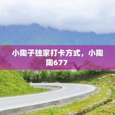 小陶子獨(dú)家打卡方式，小陶陶677