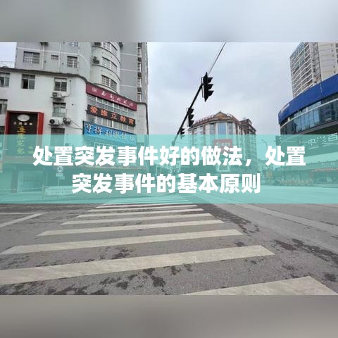 處置突發(fā)事件好的做法，處置突發(fā)事件的基本原則