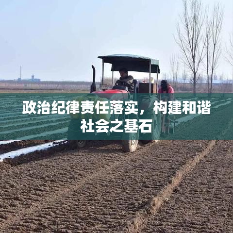 政治紀(jì)律責(zé)任落實(shí)，構(gòu)建和諧社會(huì)之基石