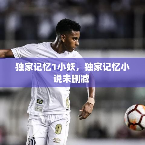 獨家記憶1小妖，獨家記憶小說未刪減