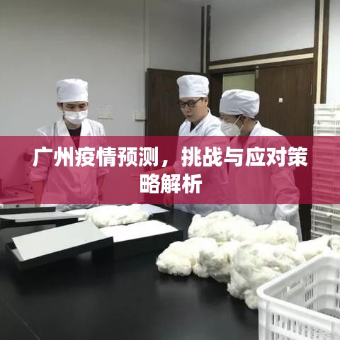 廣州疫情預測，挑戰(zhàn)與應對策略解析