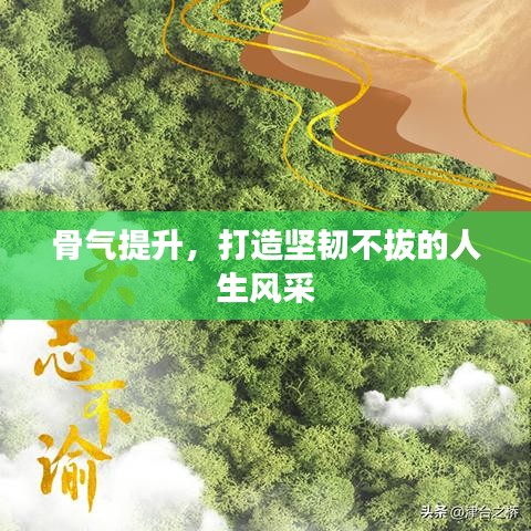 骨氣提升，打造堅(jiān)韌不拔的人生風(fēng)采