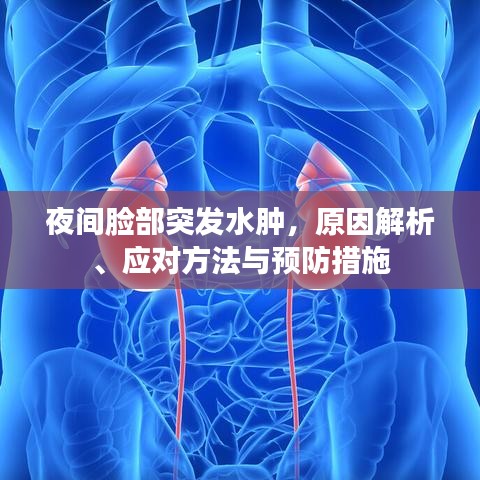 夜間臉部突發(fā)水腫，原因解析、應(yīng)對(duì)方法與預(yù)防措施