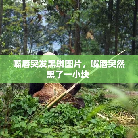 司空見慣 第2頁