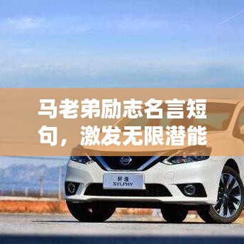 馬老弟勵志名言短句，激發(fā)無限潛能！