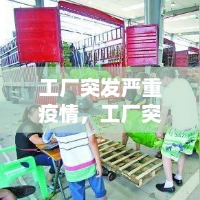 志在四方 第2頁(yè)