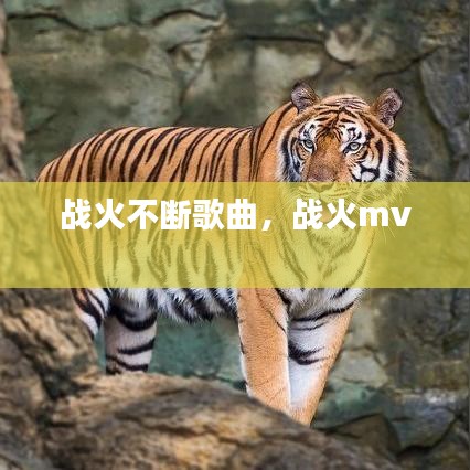戰(zhàn)火不斷歌曲，戰(zhàn)火mv
